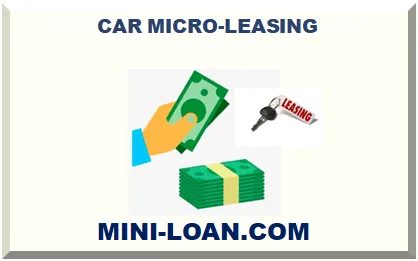 CAR MICRO-LEASING