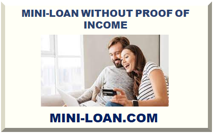 MINI-LOAN WITHOUT PROOF OF INCOME